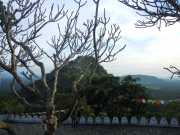 DSCN3540