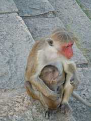 DSCN3543
