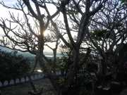 DSCN3544