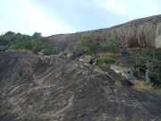 DSCN3546