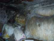 DSCN3549