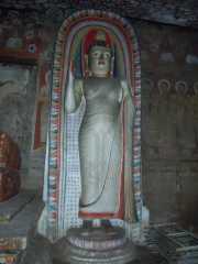 DSCN3551