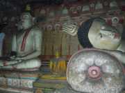 DSCN3552