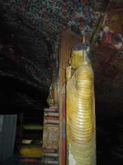 DSCN3566
