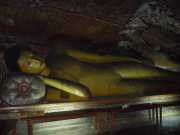 DSCN3567