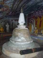 DSCN3569