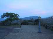 DSCN3577