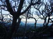 DSCN3579