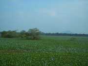DSCN3585