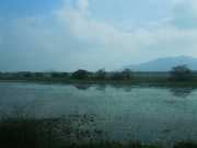 DSCN3589