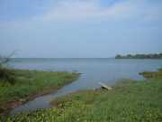 DSCN3591