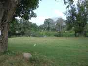DSCN3596