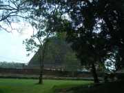 DSCN3597