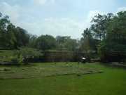 DSCN3602