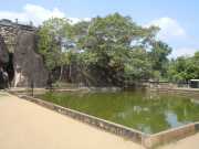 DSCN3607