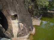 DSCN3611