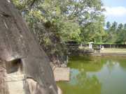 DSCN3612