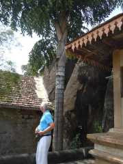 DSCN3613