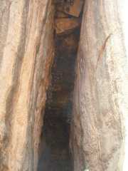 DSCN3616