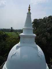 DSCN3620