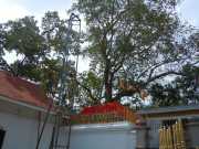 DSCN3623