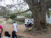 DSCN3629