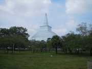 DSCN3633