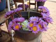 DSCN3636