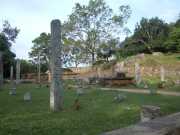 DSCN3647