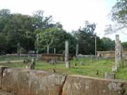 DSCN3649