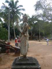 DSCN3651
