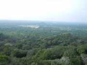 DSCN3652