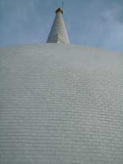 DSCN3654