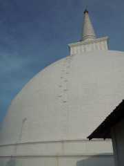 DSCN3657