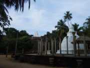 DSCN3663