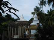 DSCN3668