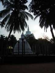 DSCN3669