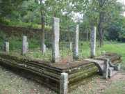 DSCN3674