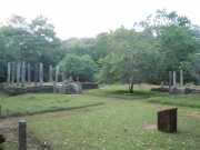 DSCN3675