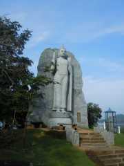 DSCN3678