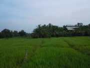 DSCN3689