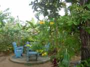 DSCN3692