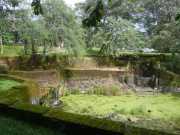 DSCN3701