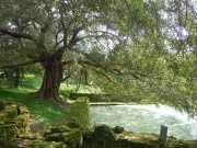 DSCN3702