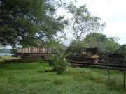 DSCN3706