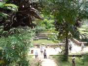 DSCN3718
