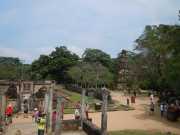 DSCN3726