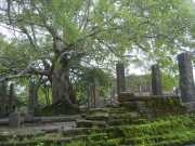 DSCN3731