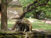 DSCN3734