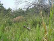 DSCN3744